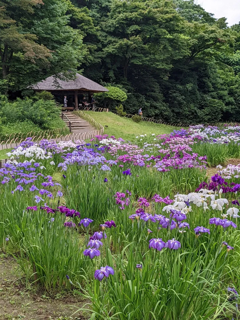 Meiji Jingu Inner Garden