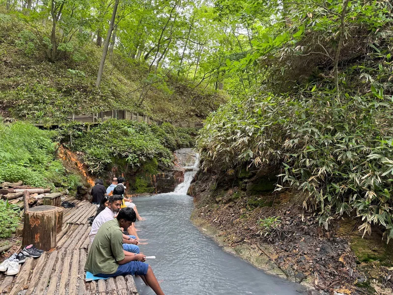 Onsen Heaven