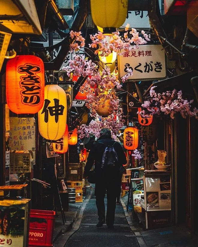 Memory Lane Yakitori Alley