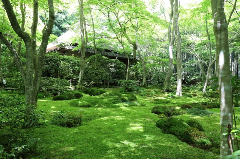 Giōji Temple