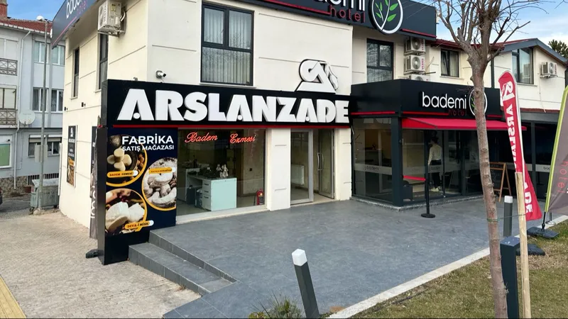Arslanzade