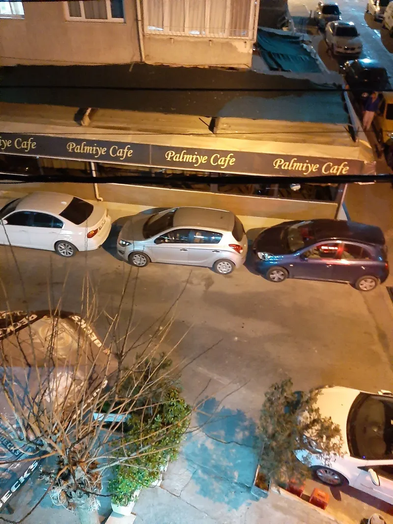 Palmiye Cafe