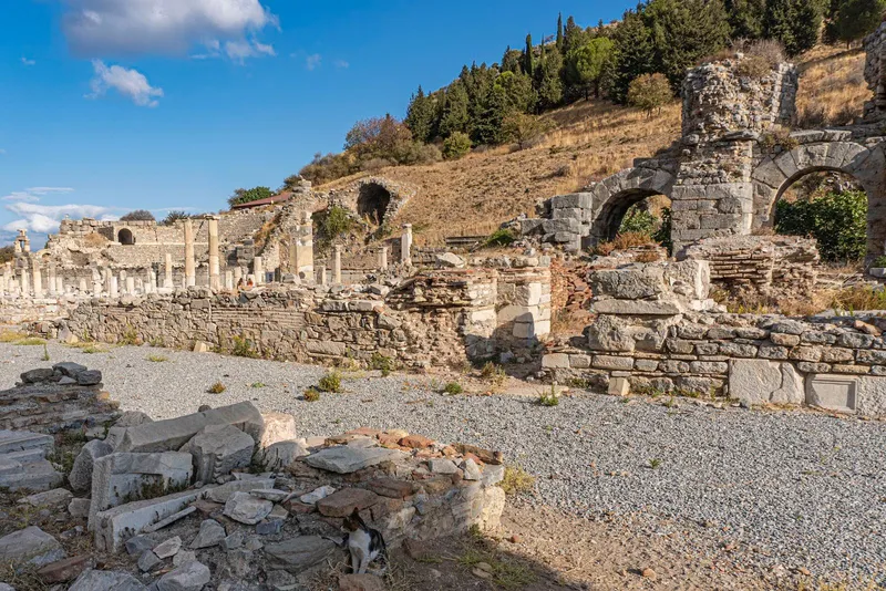 Varius Baths