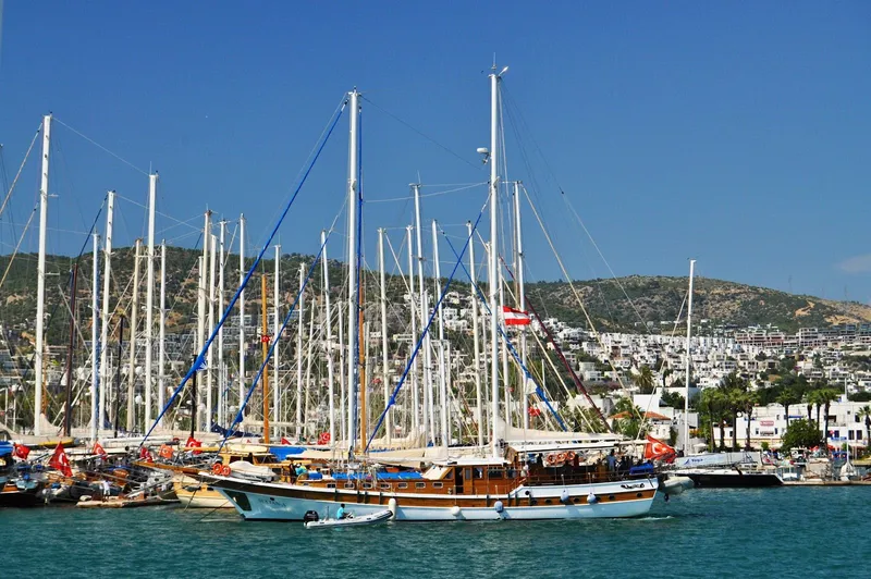 Harbour Street