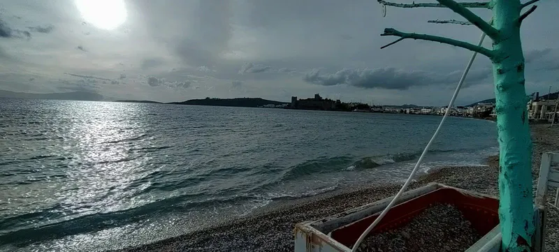 Dr. No
