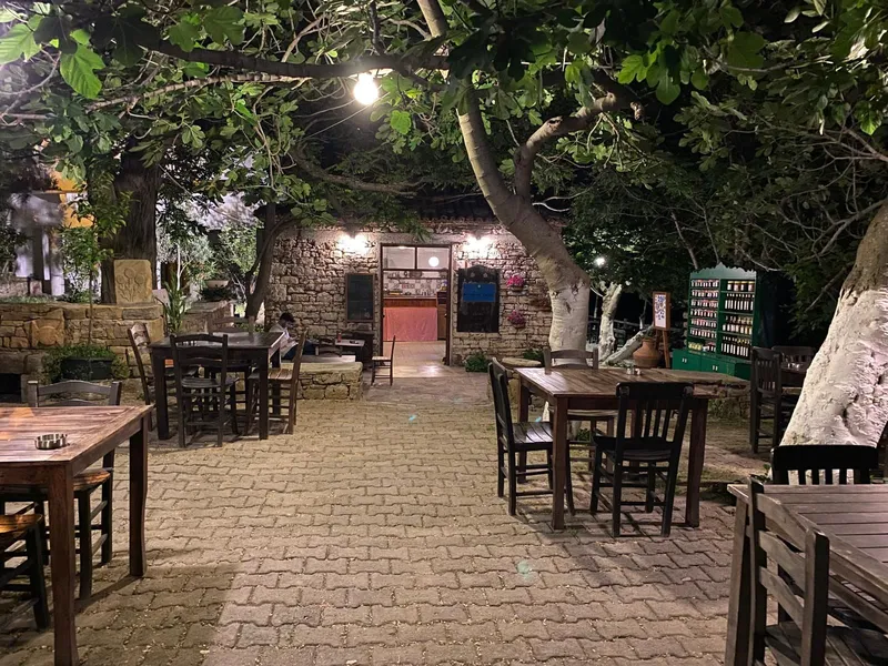 Mustafanın Kayfesi