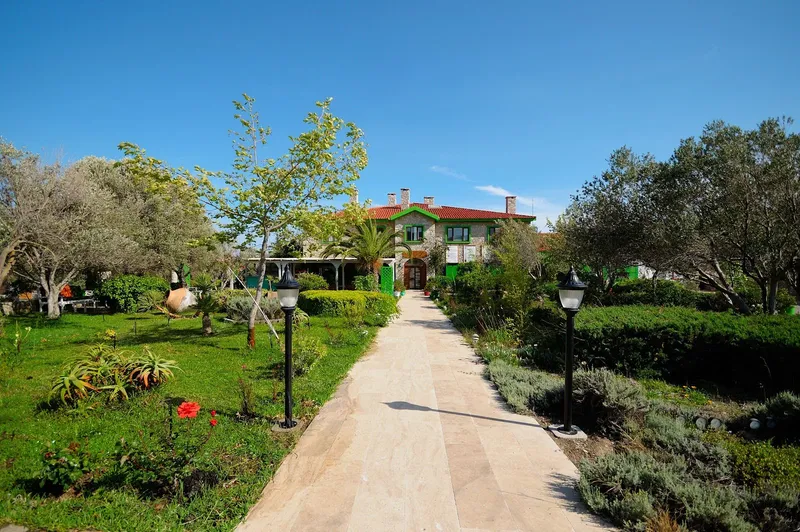 Olive Farm