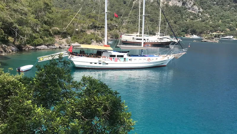 Before Lunch Cruises