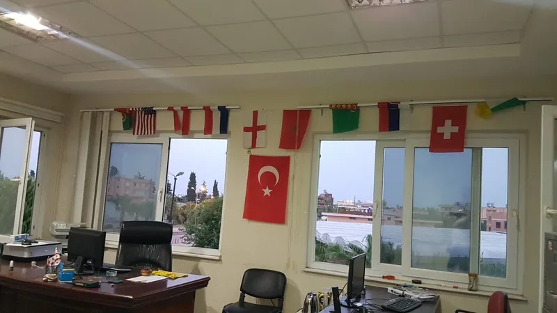 Turkish Turtles Club