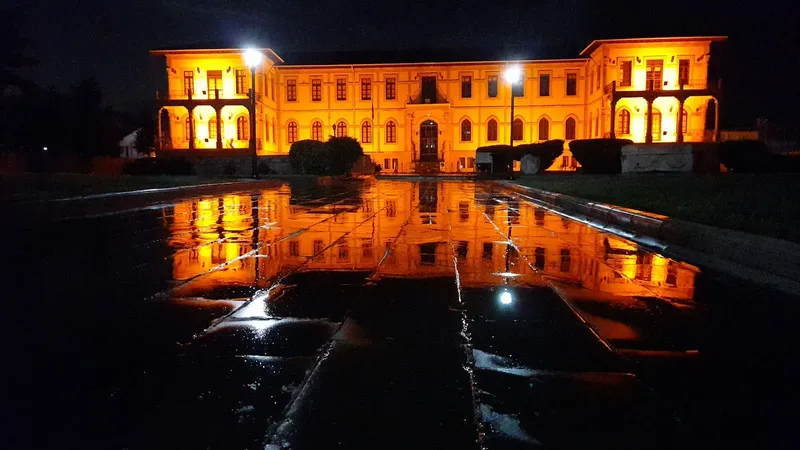 Çorum Museum