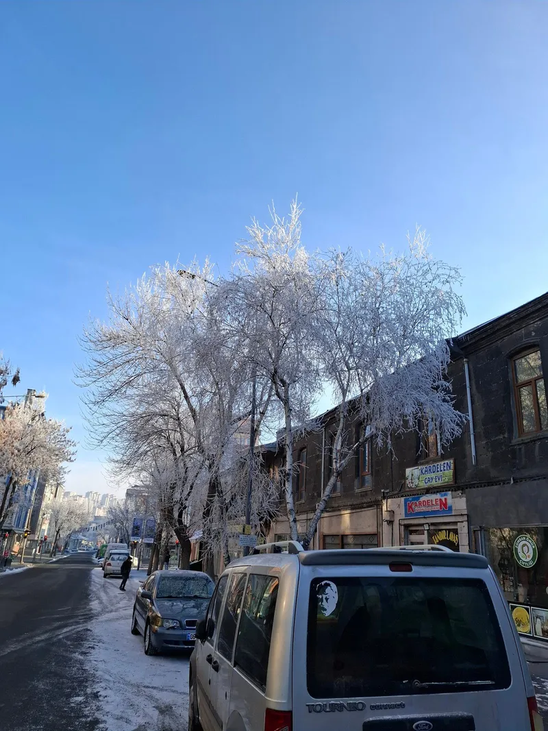 Kardelen