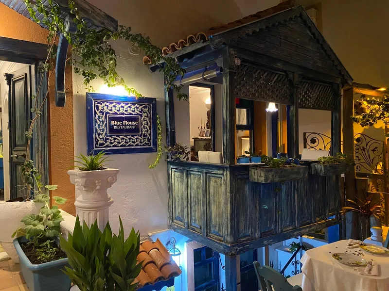 Blue House