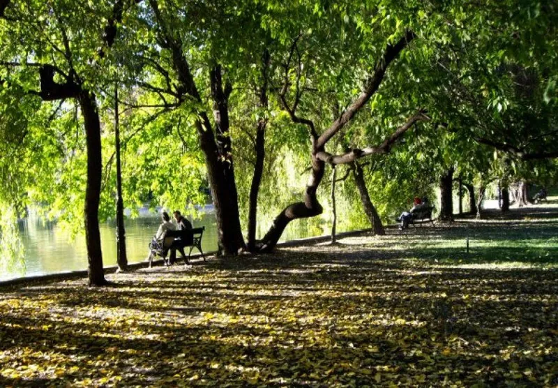 Cismigiu Gardens
