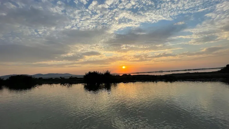 Danube Delta