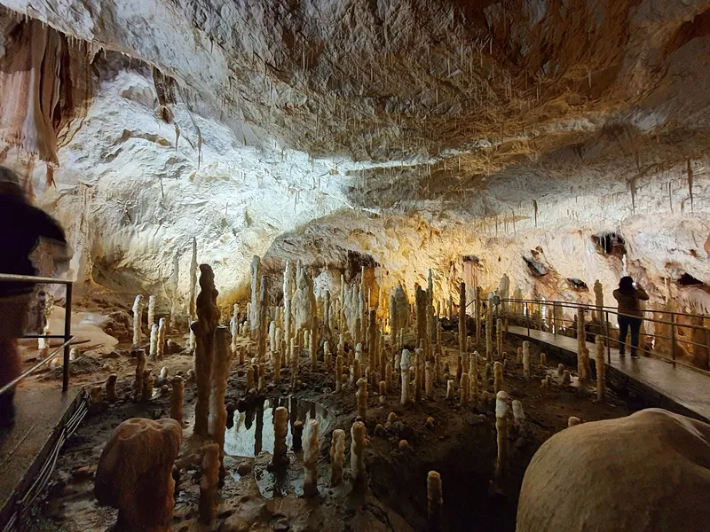 The Bears' Cave
