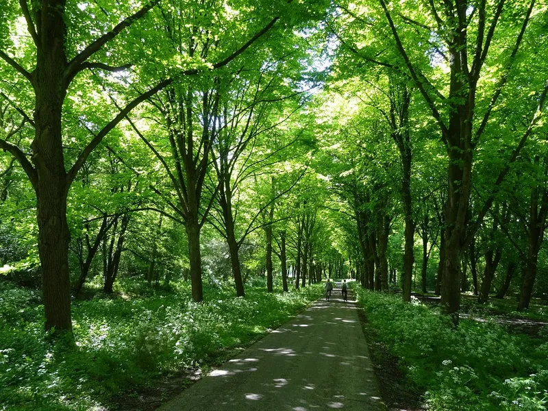 Amsterdamse Bos