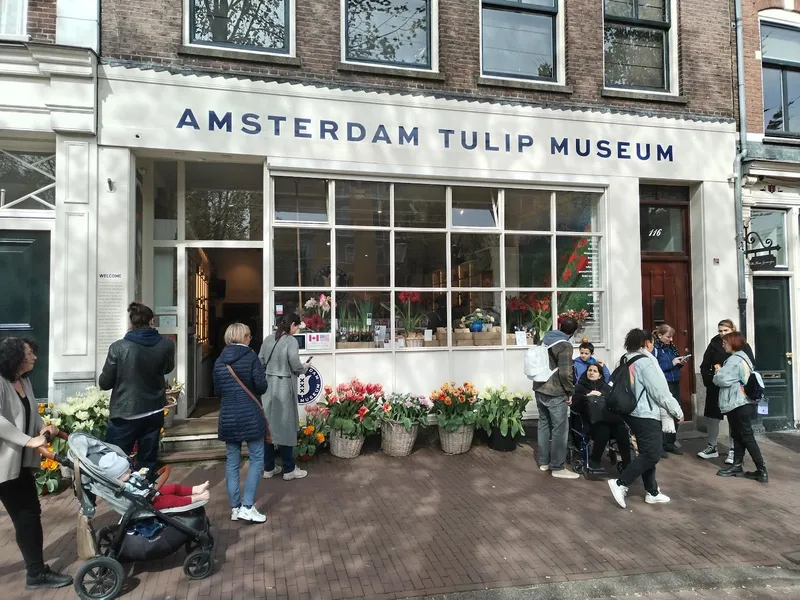 De Twee Zwaantjes
