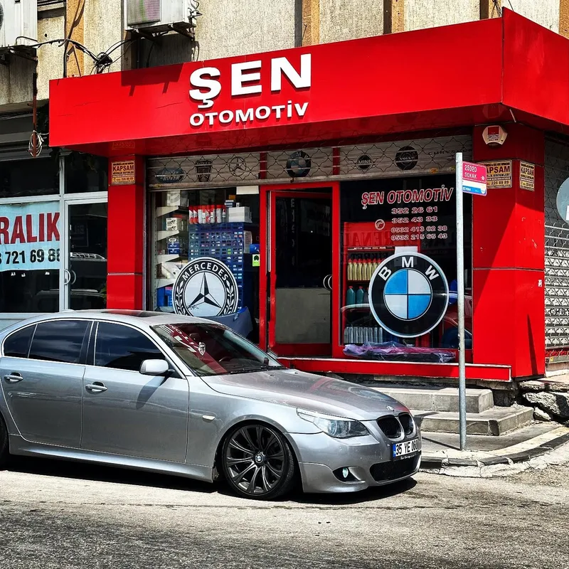 Şen