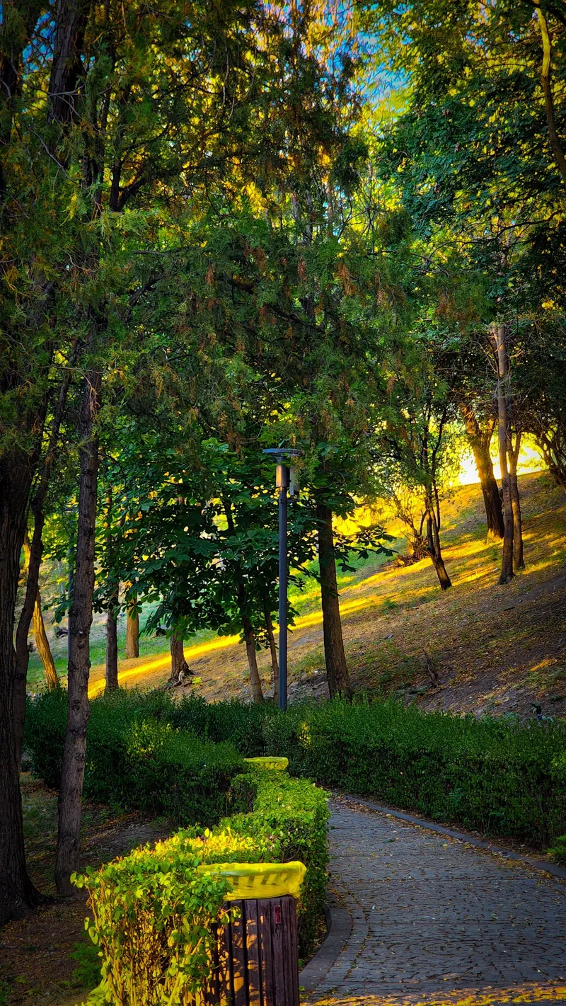 Hisar Area