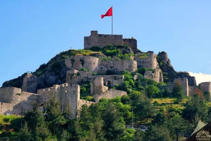 Harşena Castle