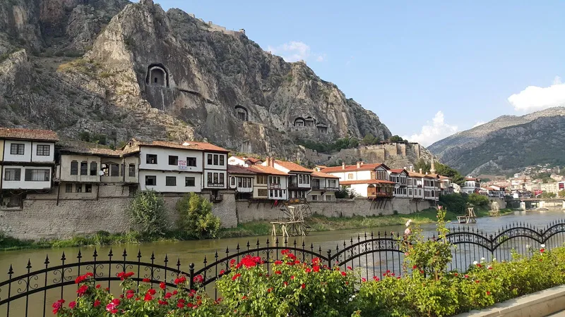 Emin Efendi Konakları