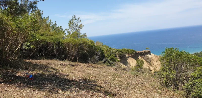 Cesaret Tepe