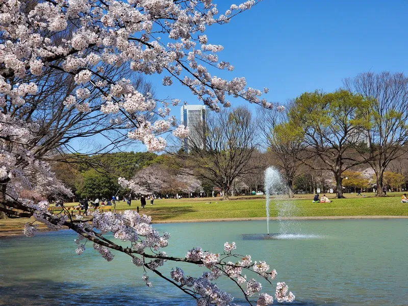 Yoyogi Park