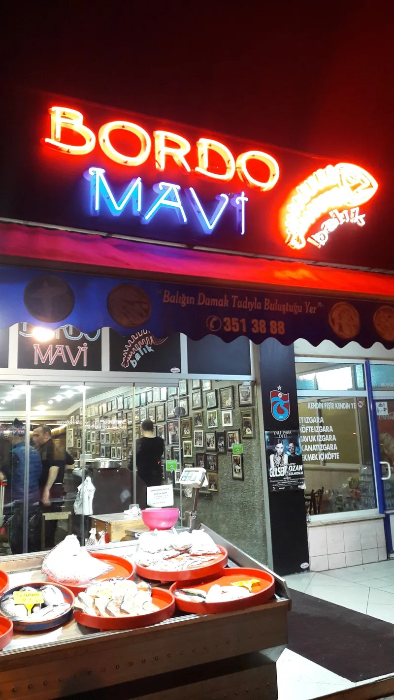 Bordo Mavi