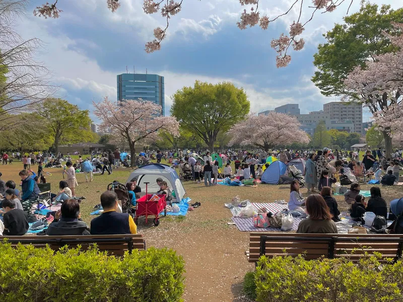 Kiba Park