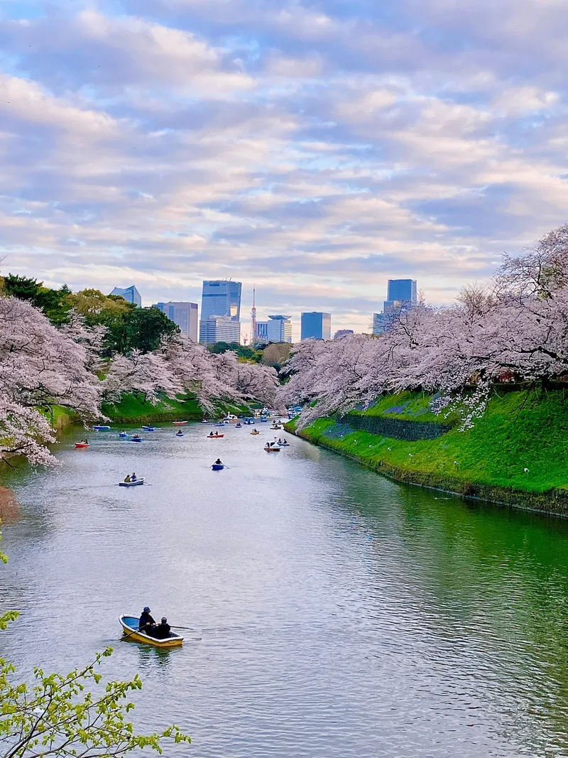 Row Down Chidorigafuchi Moat