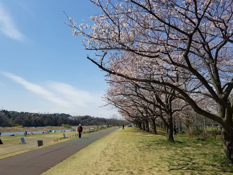 Cycle The Tama River Trail