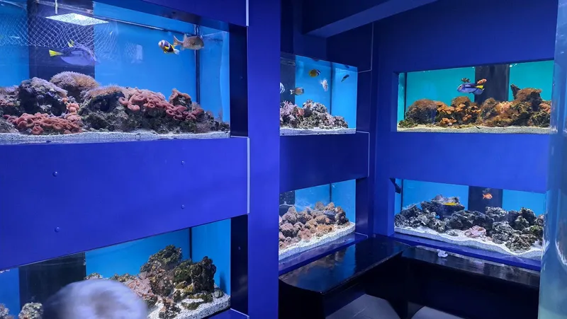 "The Danube Delta" Museum of Ecotourism