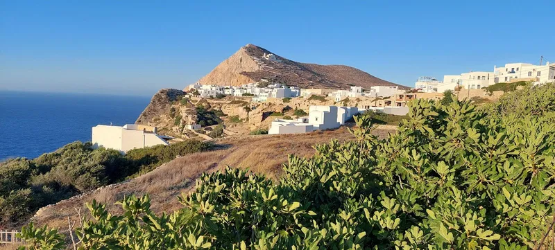 Panoramic view